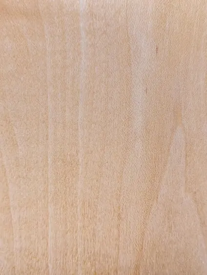 Natural wood veneer